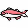 jewfish